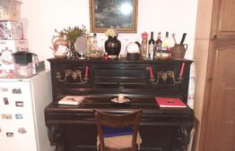 Casa de vanzare, cu 10 camere, suprafata utila 310 mp, zona Rahovei