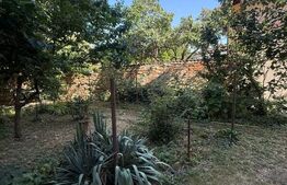 Casa de vanzare, cu 10 camere, suprafata utila 310 mp, zona Rahovei