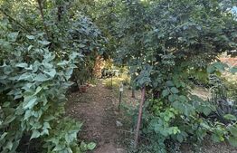 Casa de vanzare, cu 10 camere, suprafata utila 310 mp, zona Rahovei