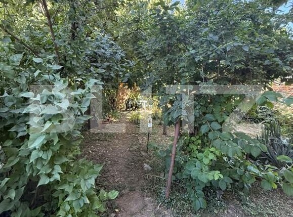 Casa de vânzare 10 camere Central - 173452CV | BLITZ Ploieşti | Poza20