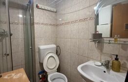 Garsoniera, de vanzare, 20 mp, mobilata si utilata, zona Sud