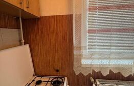 Garsoniera, de vanzare, 20 mp, mobilata si utilata, zona Sud