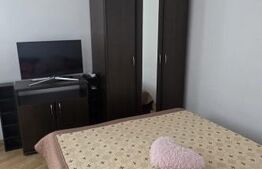 Garsoniera de vanzare, 30 mp, cu terasa de 16 mp, zona Nord 