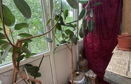 Apartament 2 camere, 40.70 mp, zona Lamaita