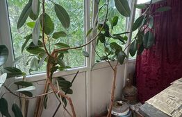 Apartament 2 camere, 40.70 mp, zona Lamaita