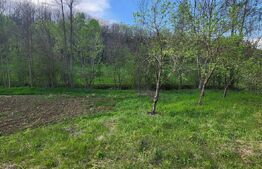  Teren 6650 mp, cu casa nefinalizata de 111 mp, in Nisipoasa. 