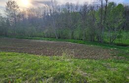  Teren 6650 mp, cu casa nefinalizata de 111 mp, in Nisipoasa. 