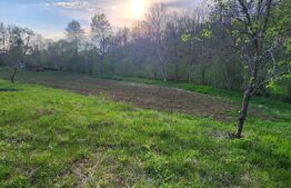  Teren 6650 mp, cu casa nefinalizata de 111 mp, in Nisipoasa. 