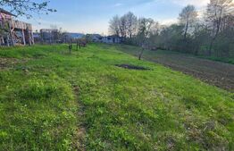  Teren 6650 mp, cu casa nefinalizata de 111 mp, in Nisipoasa. 