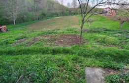  Teren 6650 mp, cu casa nefinalizata de 111 mp, in Nisipoasa. 