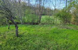  Teren 6650 mp, cu casa nefinalizata de 111 mp, in Nisipoasa. 