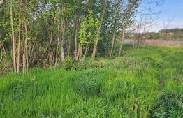  Teren 6650 mp, cu casa nefinalizata de 111 mp, in Nisipoasa. 