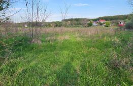  Teren 6650 mp, cu casa nefinalizata de 111 mp, in Nisipoasa. 