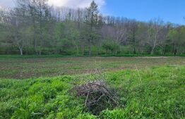  Teren 6650 mp, cu casa nefinalizata de 111 mp, in Nisipoasa. 