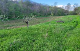  Teren 6650 mp, cu casa nefinalizata de 111 mp, in Nisipoasa. 