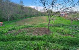  Teren 6650 mp, cu casa nefinalizata de 111 mp, in Nisipoasa. 