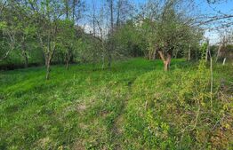  Teren 6650 mp, cu casa nefinalizata de 111 mp, in Nisipoasa. 