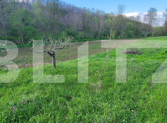 Teren de vânzare Nisipoasa - 174717TV | BLITZ Ploieşti | Poza13