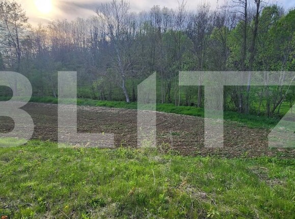 Teren de vânzare Nisipoasa - 174717TV | BLITZ Ploieşti | Poza9