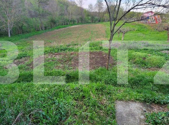 Teren de vânzare Nisipoasa - 174717TV | BLITZ Ploieşti | Poza2