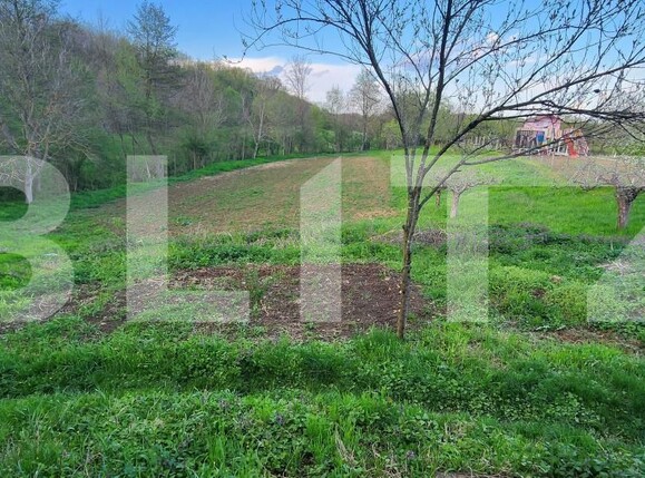 Teren de vânzare Nisipoasa - 174717TV | BLITZ Ploieşti | Poza1