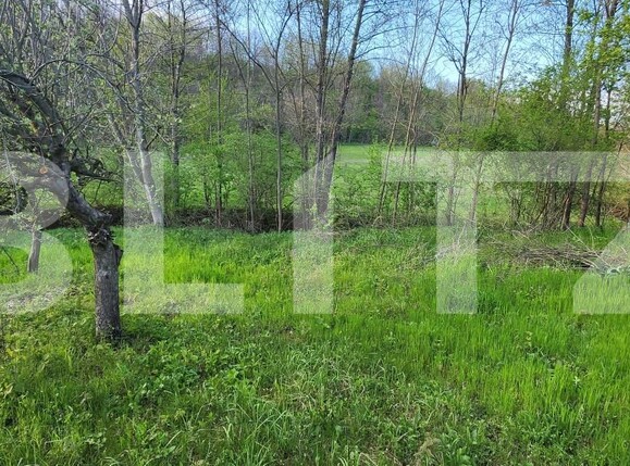 Teren de vânzare Nisipoasa - 174717TV | BLITZ Ploieşti | Poza4