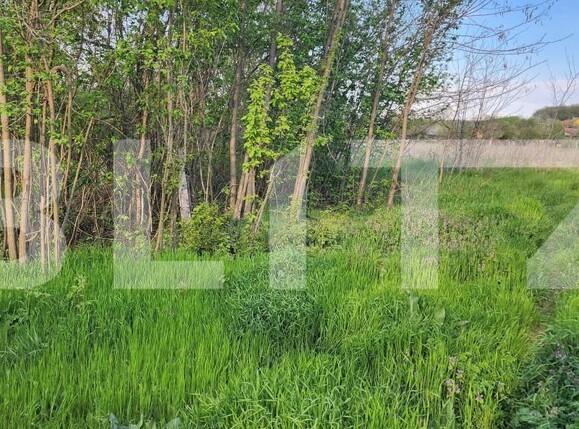 Teren de vânzare Nisipoasa - 174717TV | BLITZ Ploieşti | Poza6