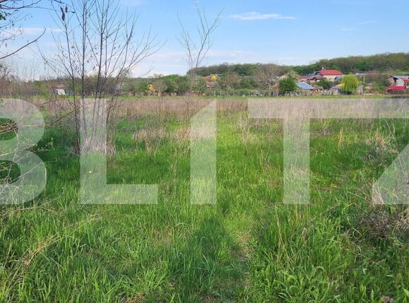 Teren de vânzare Nisipoasa - 174717TV | BLITZ Ploieşti | Poza7