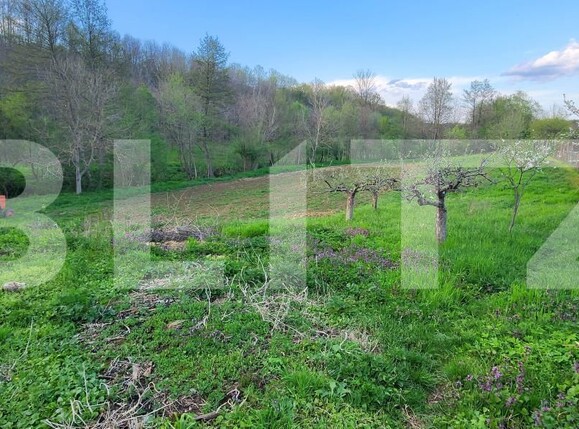 Teren de vânzare Nisipoasa - 174717TV | BLITZ Ploieşti | Poza11