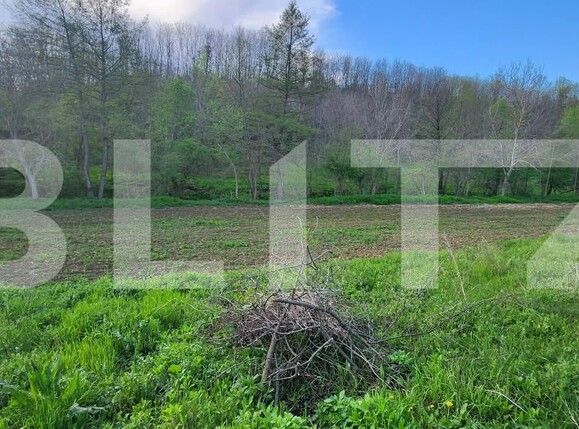 Teren de vânzare Nisipoasa - 174717TV | BLITZ Ploieşti | Poza12