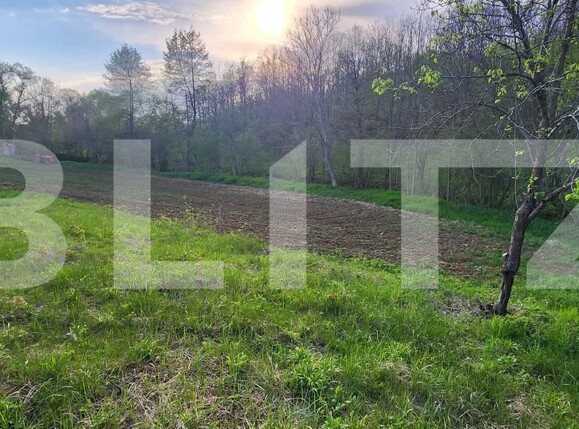Teren de vânzare Nisipoasa - 174717TV | BLITZ Ploieşti | Poza2