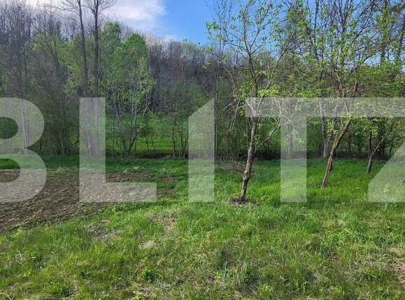 Teren de vânzare Nisipoasa - 174717TV | BLITZ Ploieşti | Poza7