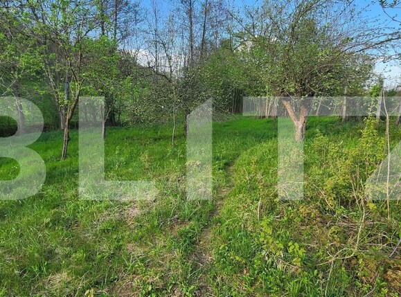 Teren de vânzare Nisipoasa - 174717TV | BLITZ Ploieşti | Poza13