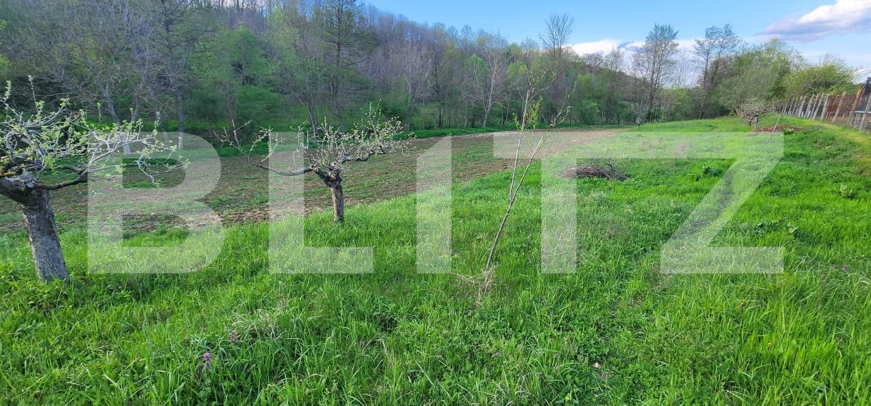 Teren de vânzare Nisipoasa - 174717TV | BLITZ Ploieşti | Poza13