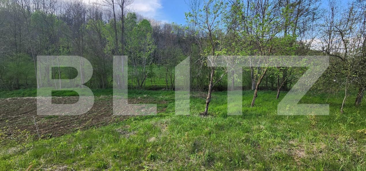 Teren de vânzare Nisipoasa - 174717TV | BLITZ Ploieşti | Poza8