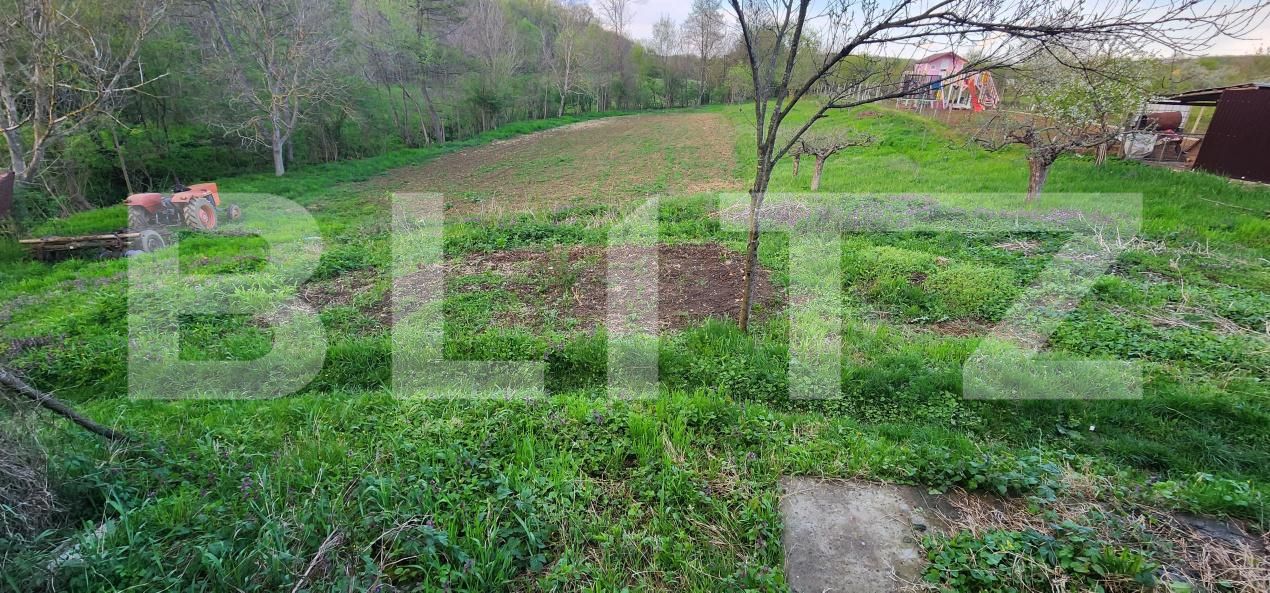 Teren de vânzare Nisipoasa - 174717TV | BLITZ Ploieşti | Poza2