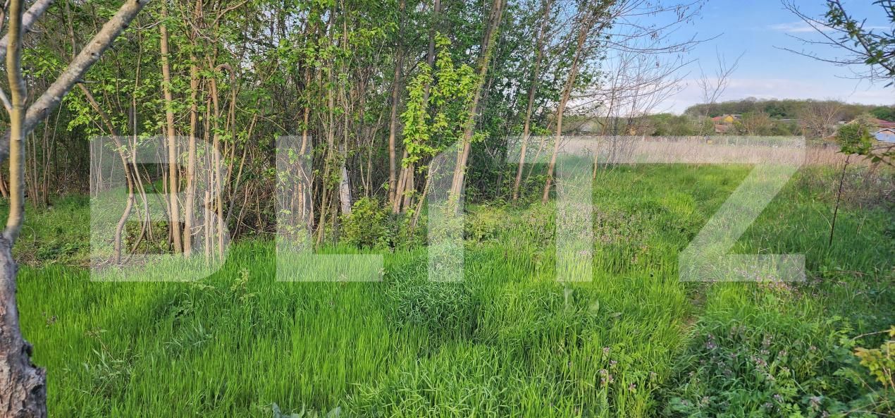 Teren de vânzare Nisipoasa - 174717TV | BLITZ Ploieşti | Poza6