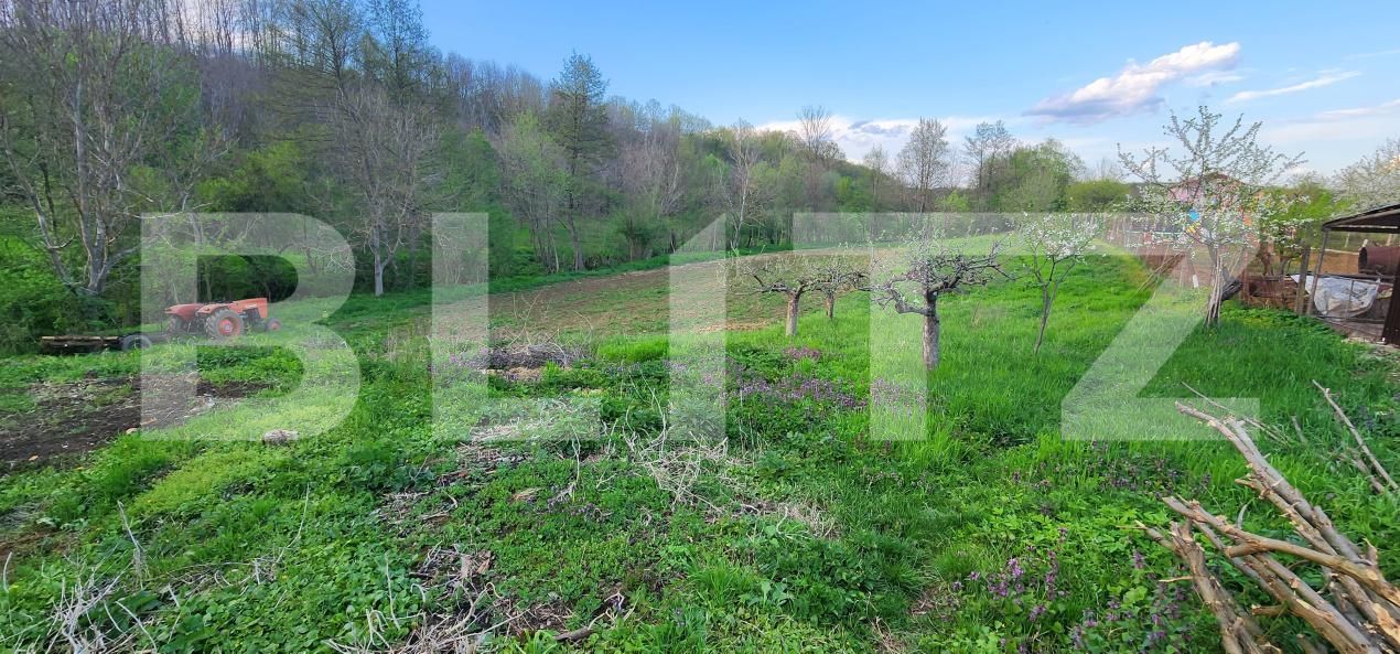 Teren de vânzare Nisipoasa - 174717TV | BLITZ Ploieşti | Poza10