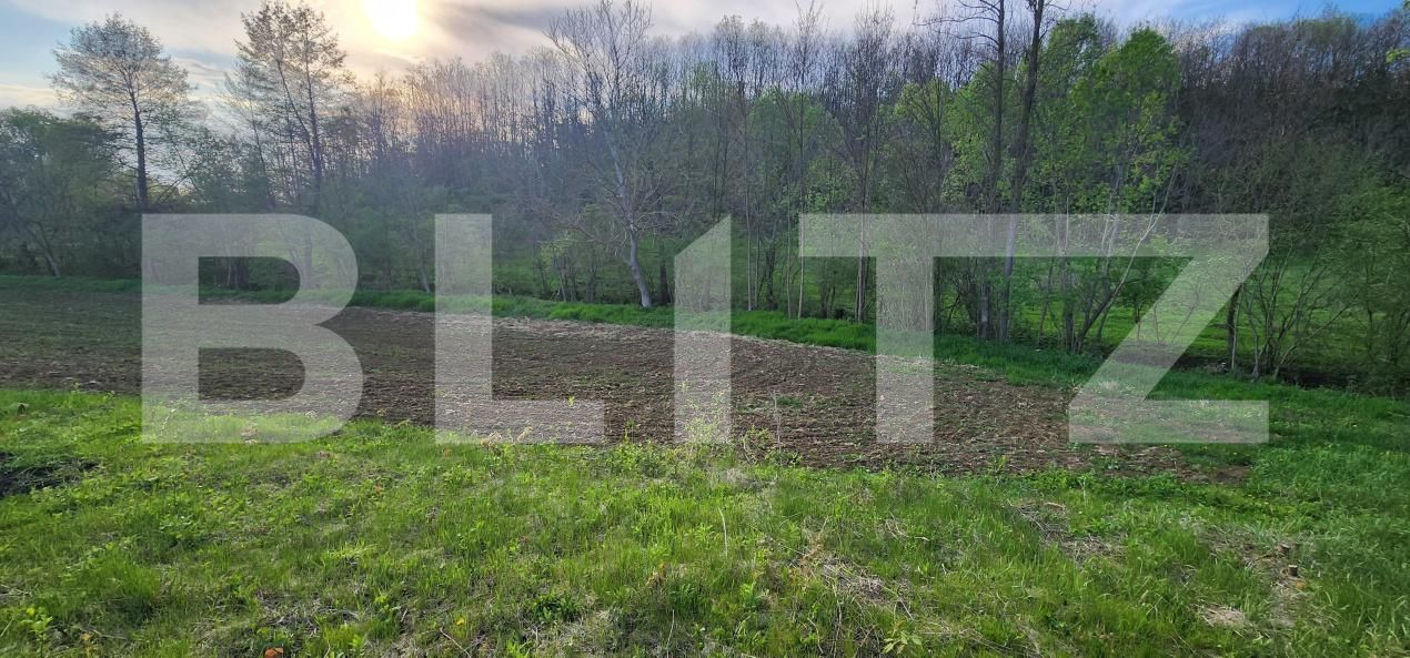 Teren de vânzare Nisipoasa - 174717TV | BLITZ Ploieşti | Poza8