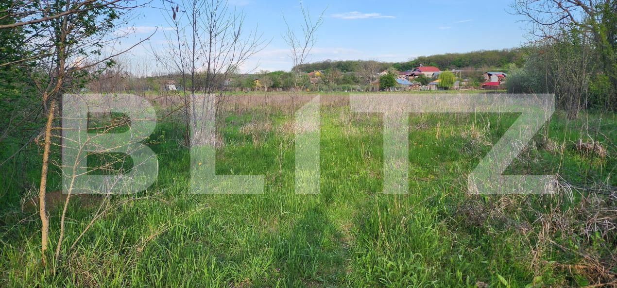 Teren de vânzare Nisipoasa - 174717TV | BLITZ Ploieşti | Poza6