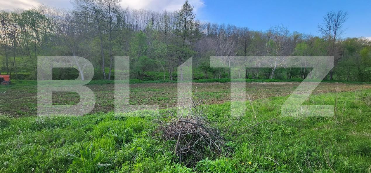 Teren de vânzare Nisipoasa - 174717TV | BLITZ Ploieşti | Poza12