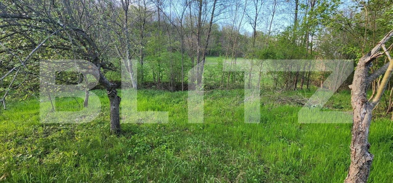 Teren de vânzare Nisipoasa - 174717TV | BLITZ Ploieşti | Poza5