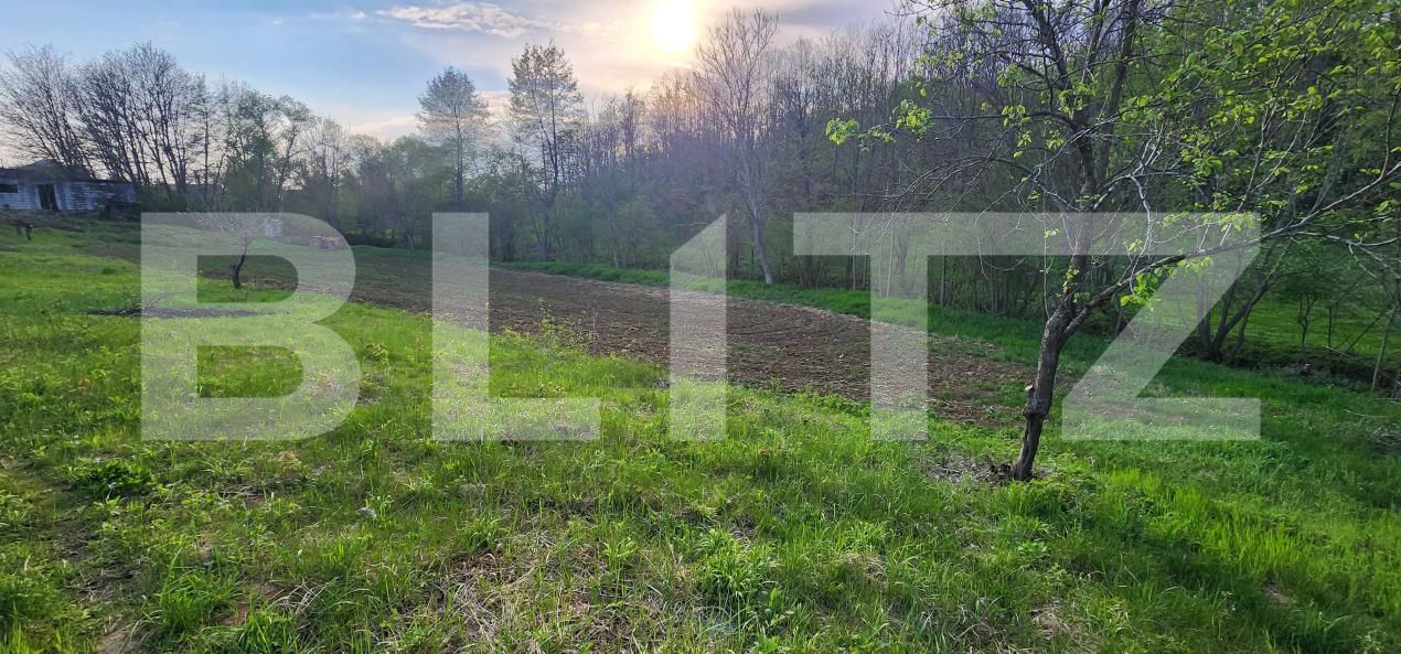 Teren de vânzare Nisipoasa - 174717TV | BLITZ Ploieşti | Poza2