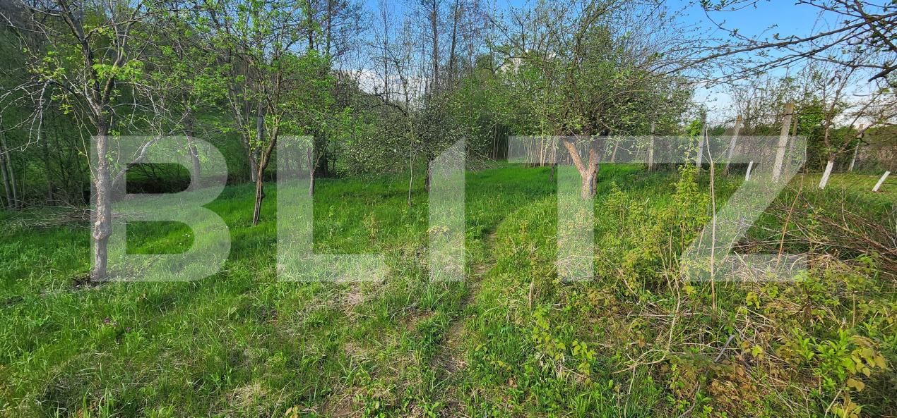 Teren de vânzare Nisipoasa - 174717TV | BLITZ Ploieşti | Poza14