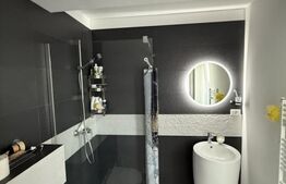 Vila moderna cu piscina, cartier Albert