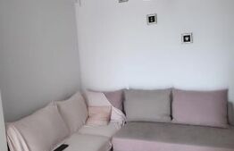 Apartament 2 camere ,zona Albert  