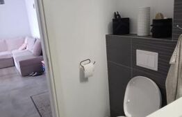 Apartament 2 camere ,zona Albert  