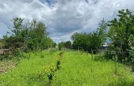 Teren 1000mp, Brazi /Prahova, deschidere 15m