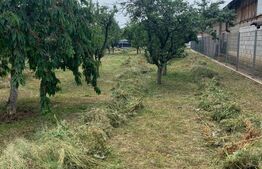 Teren 1000mp, Brazi /Prahova, deschidere 15m