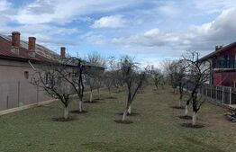 Teren 1000mp, Brazi /Prahova, deschidere 15m